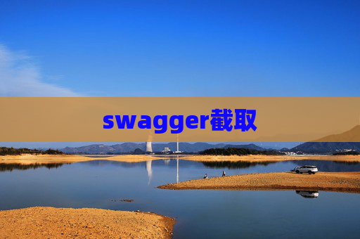 swagger截取
